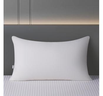 pillow core
